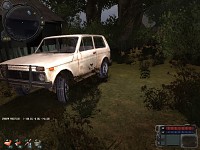 niva