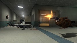 Max Payne 2 - Pain to the max 1.0 pictures