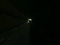 Dead Sector