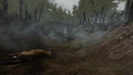 Release Pictures
