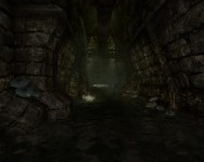 New Screenshot from Amnesia:The Untold