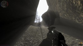 The light
