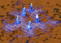 Fields of blue!