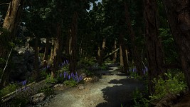 Enderal Screenshot