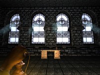 WINDOWS