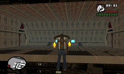 size 1/1 hangar view