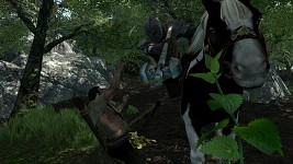 Great Valley Combat