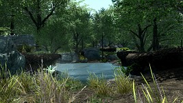 Great Valley Pond