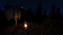 Camp