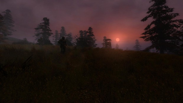 Bog Level