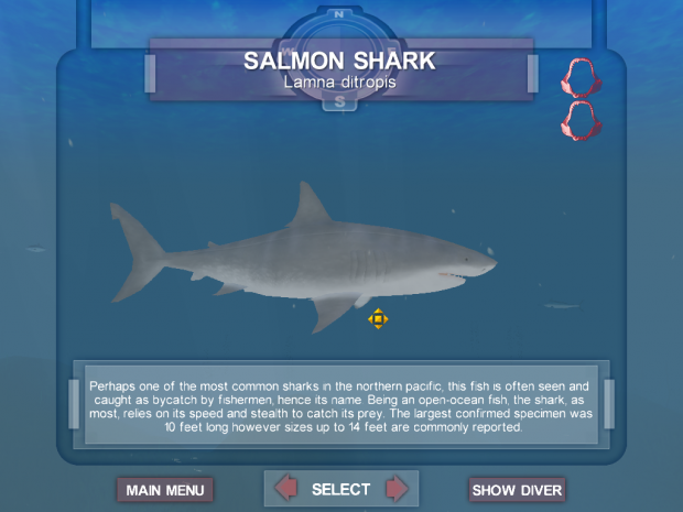 New Skin for Salmon Shark