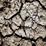 Nasty Cracks In The Ground