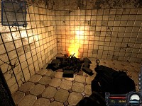 New system particles