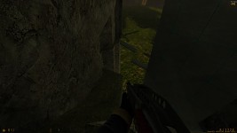 Swat