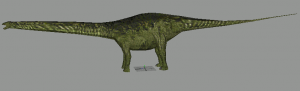 Apatosaurus
