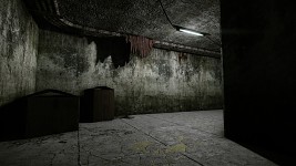 'The Ward' Basement