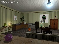Experience