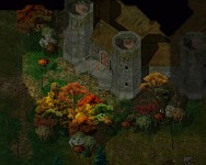 High Hedge