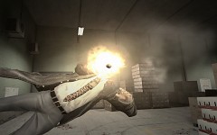 Killcam
