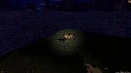 Betrayal