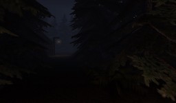 In the woods