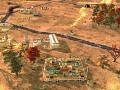 New trees