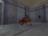BullChicken