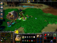Dwarf Race