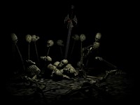 Galeria TDS PL