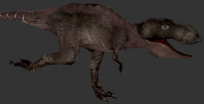 A New Look at Rugops