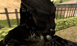 Wolf Predator from AVP