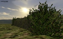 Today's work - bush [cover]