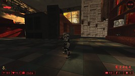 Cyborg In-Game
