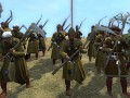 Steppe units