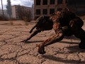 New Mutants & HD NPC