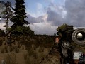 SVD & Nimble's SVD