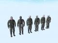 Winter Soldier's