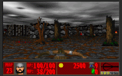 The Cursed Forest