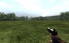 New NF Pistol