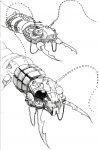 Funny Concept Image
