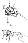 Funny Concept Image