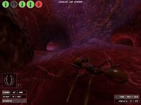 ant soldier from third person view