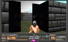 Middle-opening doors