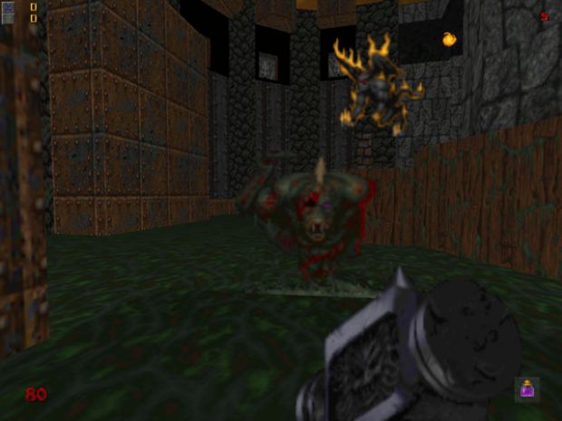 Stalker Damage Skin
