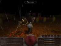 Ingame 1