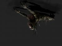 Ceiling Creeper
