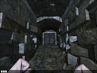 Ingame action