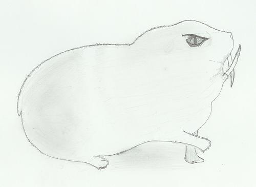 Guinea pig concept