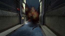 FF 2.46 Gibs