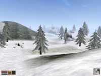 Landscape 1